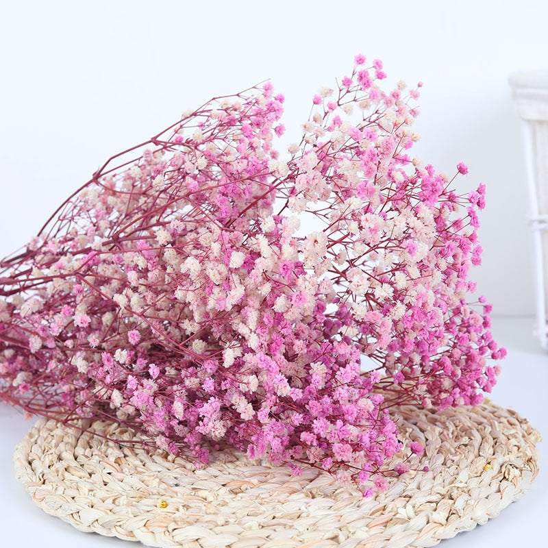 Natural Dried Preserved Flowers Gypsophila Flower Bouquets