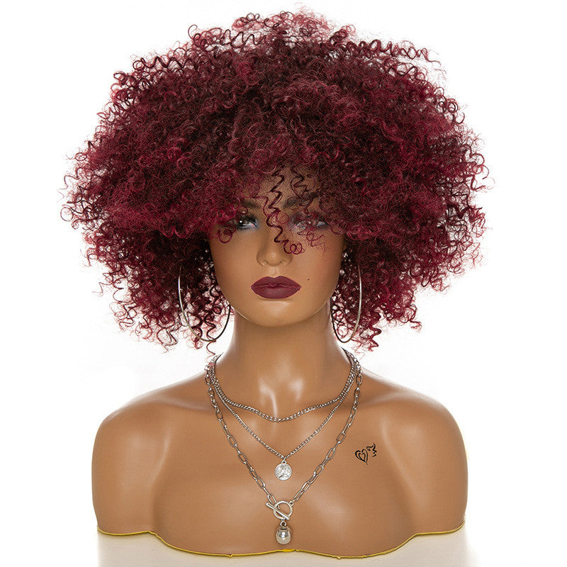 High-Temperature Afro Kinky Curly Hair Wig