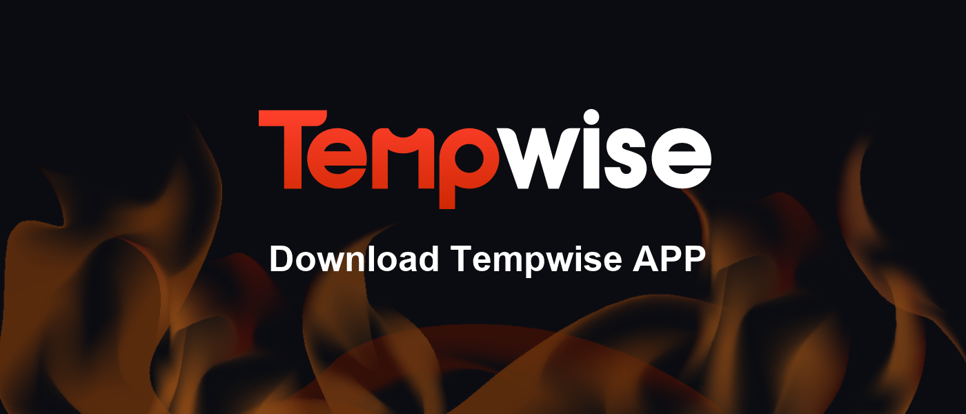 TEMPWISE LOGO