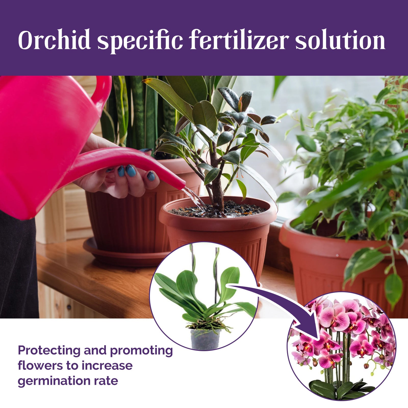 Plant Flower Organic Foliar Fertilizer Growth Nutrient Solution