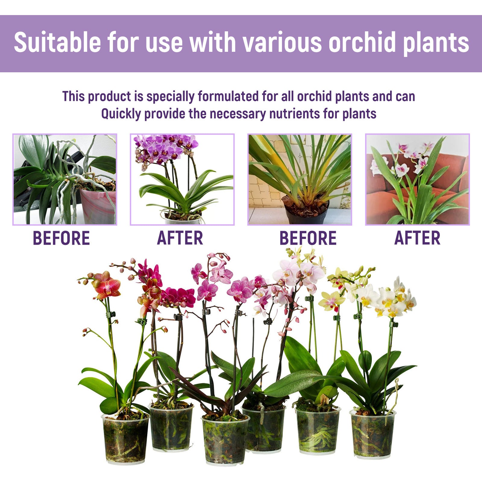 Plant Flower Organic Foliar Fertilizer Growth Nutrient Solution