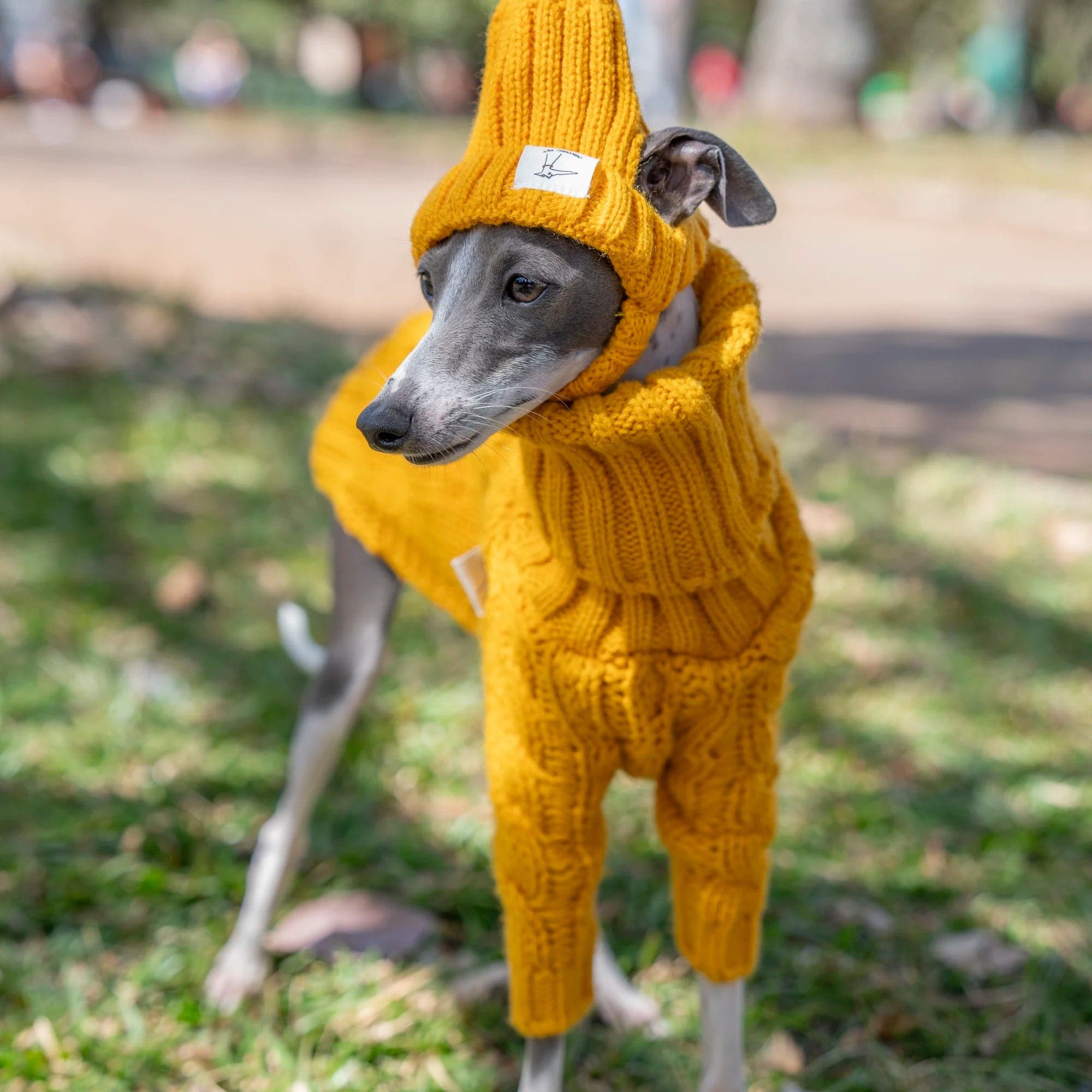 Stylish Turtleneck Sweater for Pet