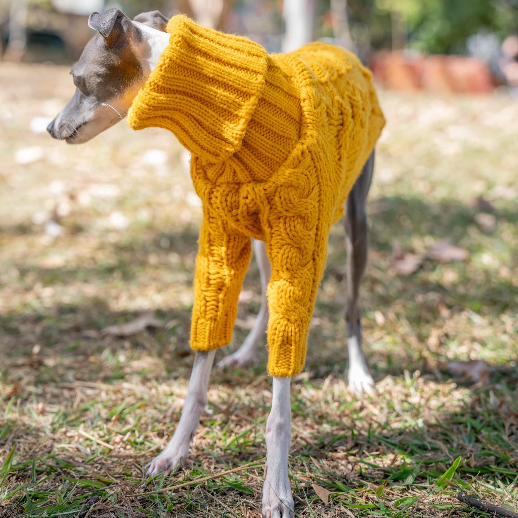 Stylish Turtleneck Sweater for Pet