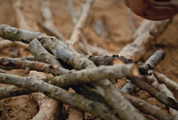 outdoor kitchen knife, kitchen knives