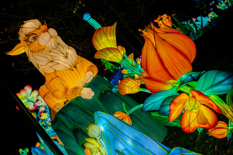 Dragon Festival Lantern