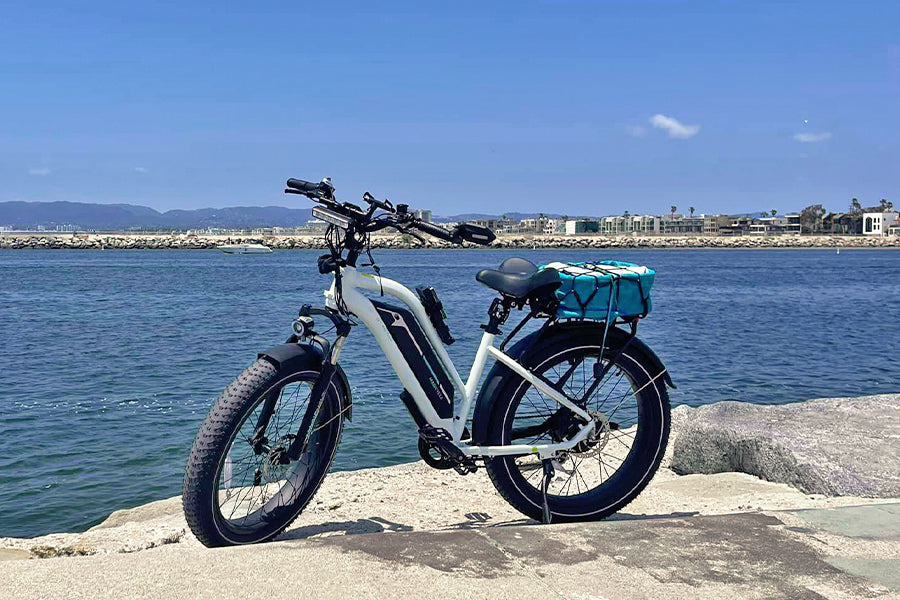 beach riding with cruiser