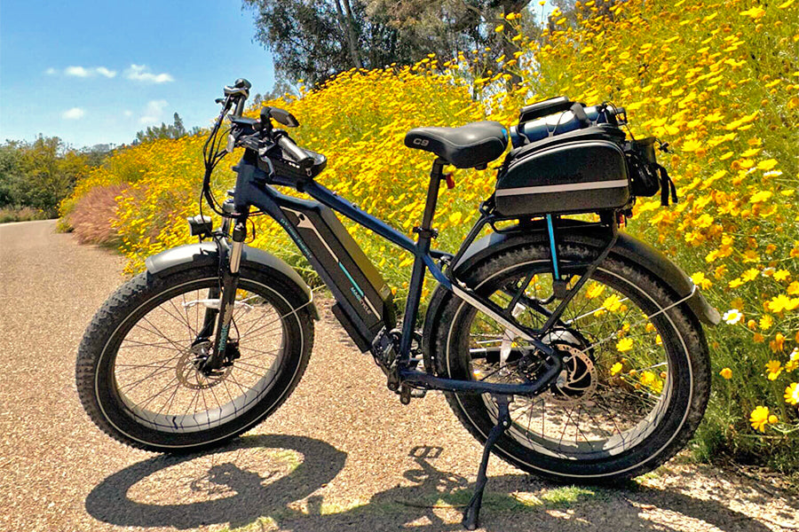 fat tire cruiser