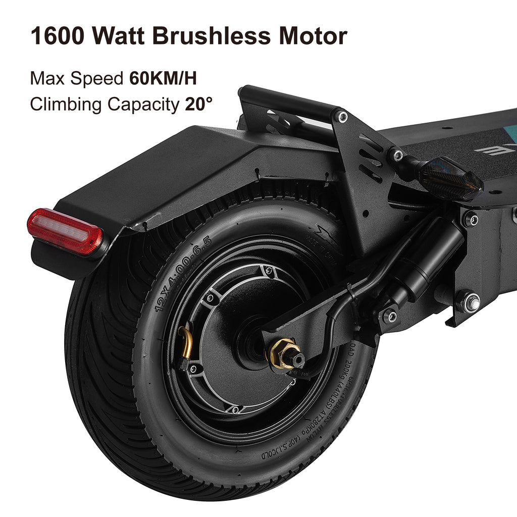 Electric Scooter 1600W Brushless Motor
