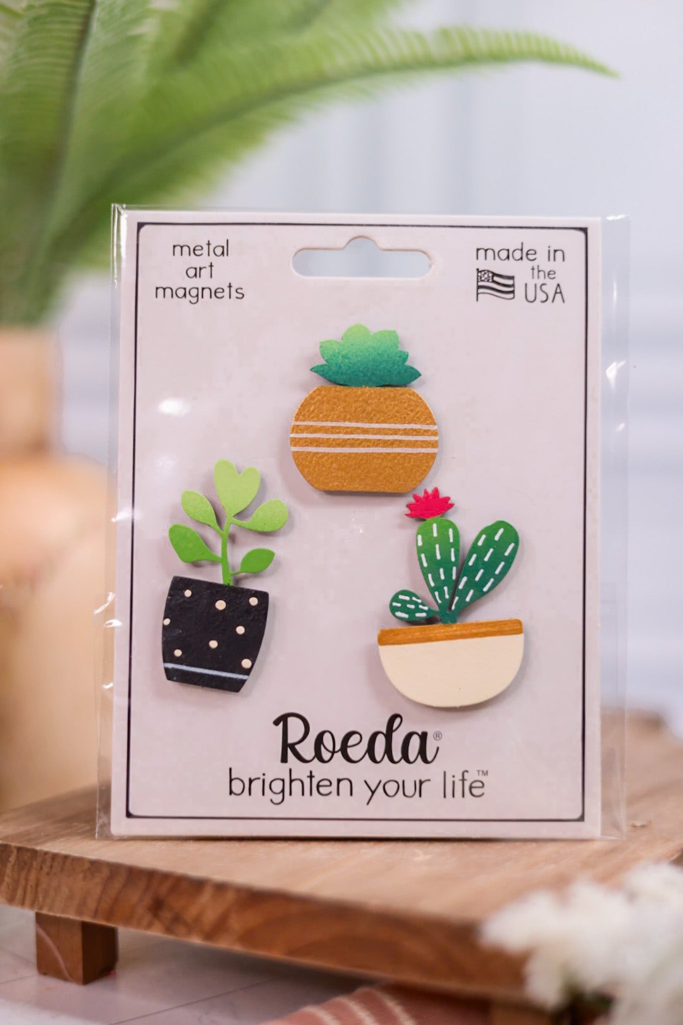 Succulent Magnets S/3