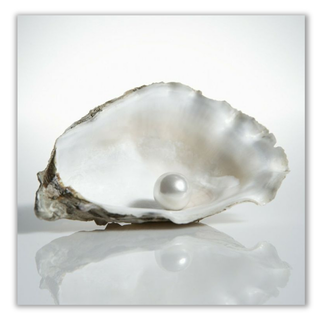 Pearl in shell