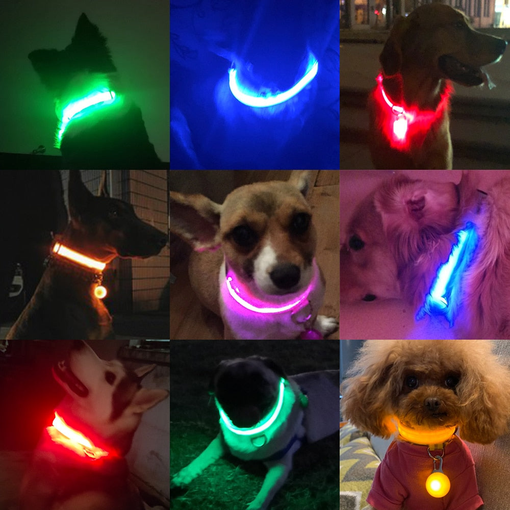 USB Charging/Battery replacement Led Dog Collar. Anti-Lost Collar For Dogs, Dog Collars Leads LED Supplies