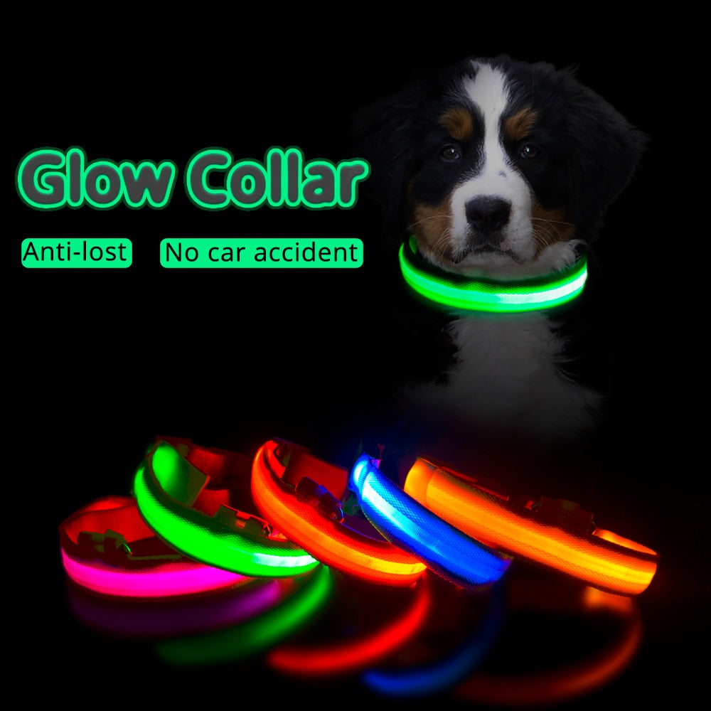 USB Charging/Battery replacement Led Dog Collar. Anti-Lost Collar For Dogs, Dog Collars Leads LED Supplies