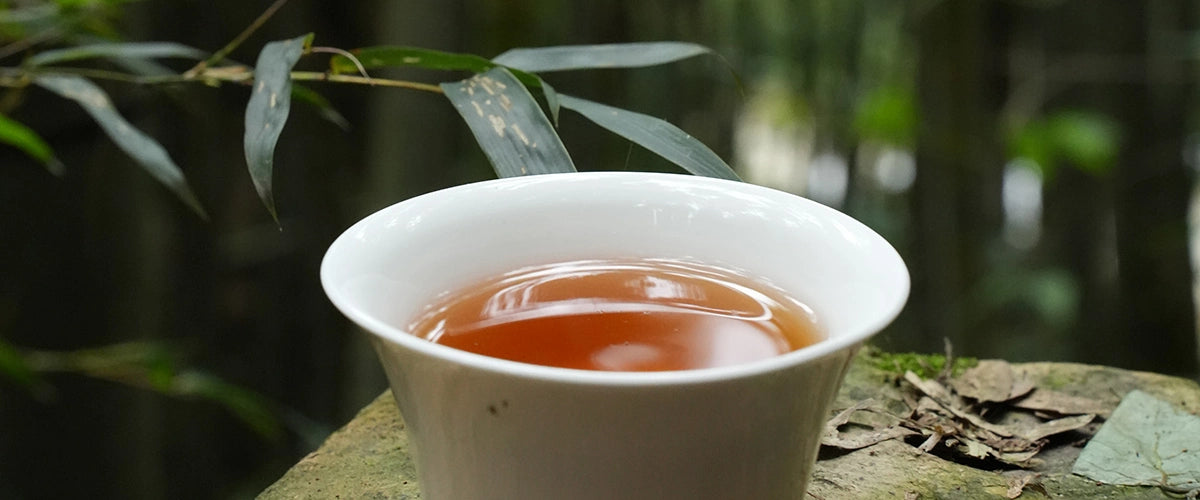 Wild Tea | iTeawworld