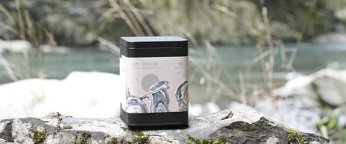 Wild White Tea | iTeaworld