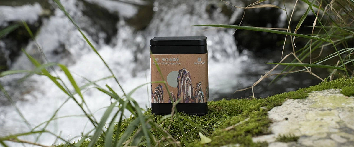 Wild Oolong Tea | iTeaworld