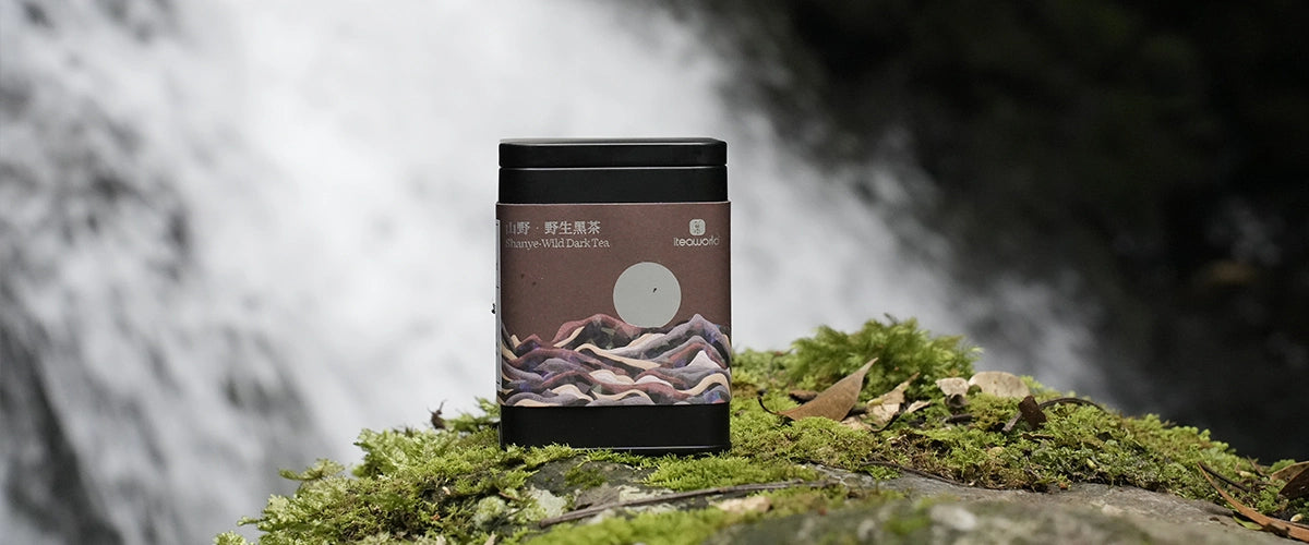 Wild Dark Tea | iTeaworld