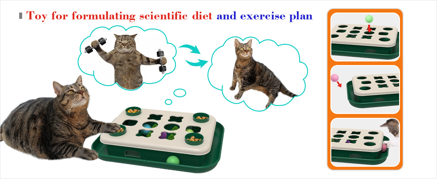 Photo inspiration: Fresh Look at Tackdg 2Nd Cats Treasure Chest Cat Puzzle Toy For Kitty