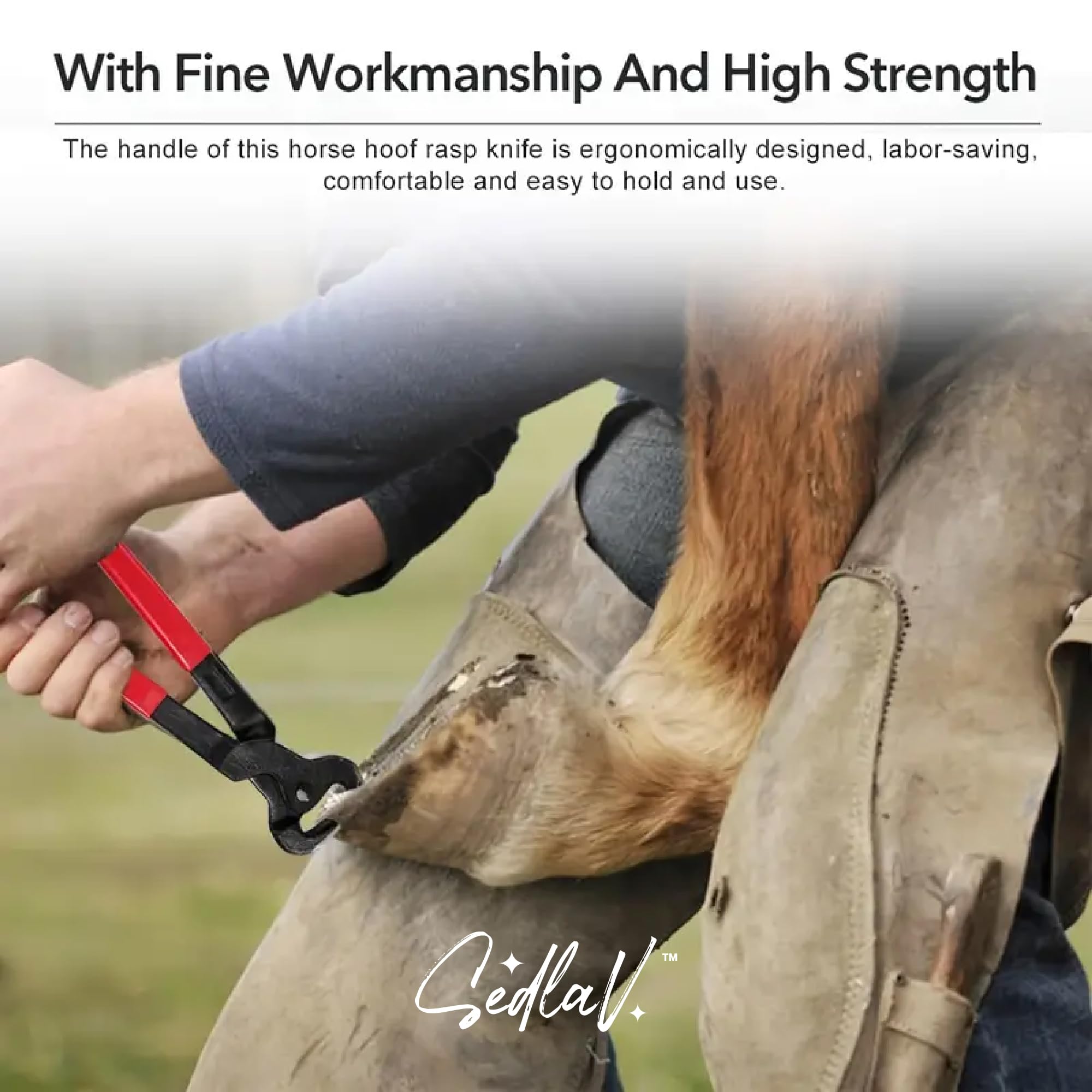 SEDLAV Horse Farrier Hoof Trim Tool Kit Metal, Ergonomically Designed Handle, Suitable for Manicuring & Cleaning Horseshoes - Includes Horseshoe File, Hoof Cutter & Knife
