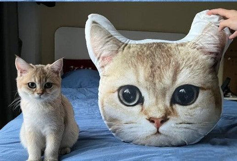 cuscino personalizzato per la faccia di gatto