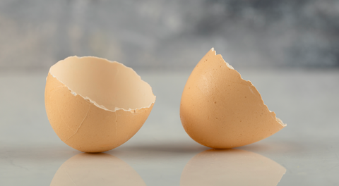 eggshell