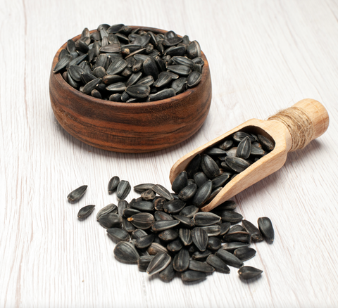 black oil sunflower seed