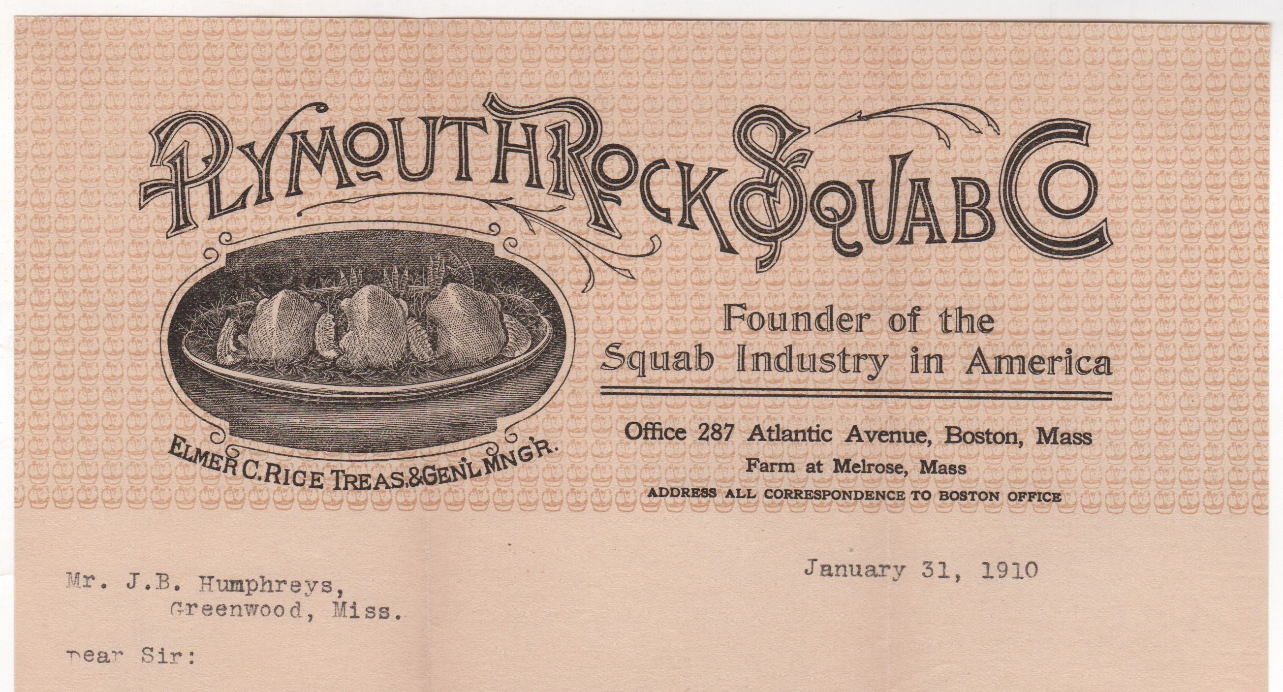 Plymouth Rock Squab Pigeon Co Boston MA Antique Graphic Advertising Letter 1910