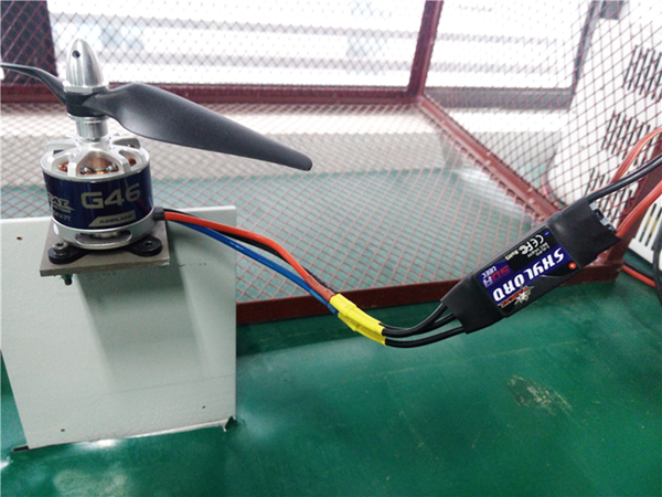 TomCat Skylord 50A ESC with G46 Motor Test