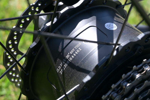 ebike RX30 1000W motor