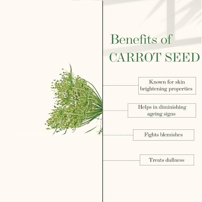 Good Vibes Sandalwood & Carrot Seed Brightening & Age Defying Night Cream - 50 gms