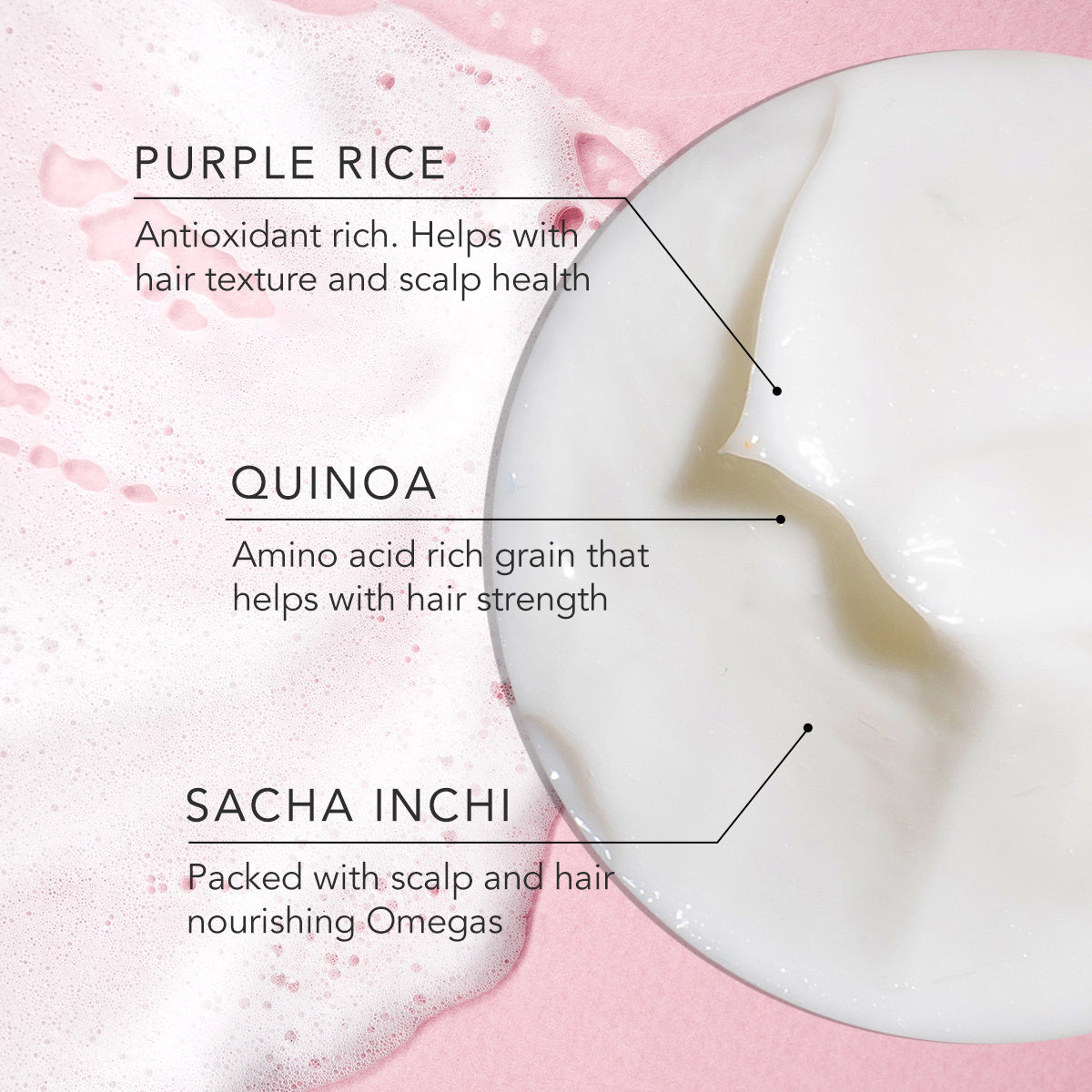 Daughter Earth Purple Rice + Quinoa The Shampoo & The Conditioner - Combo