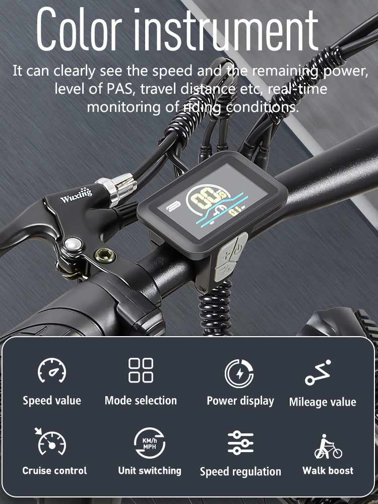 RX70 Color instrument It can clearly see the speed and the remaining power, level of PAS, travel distarce etc, real time monitoring of fdimg conditions.