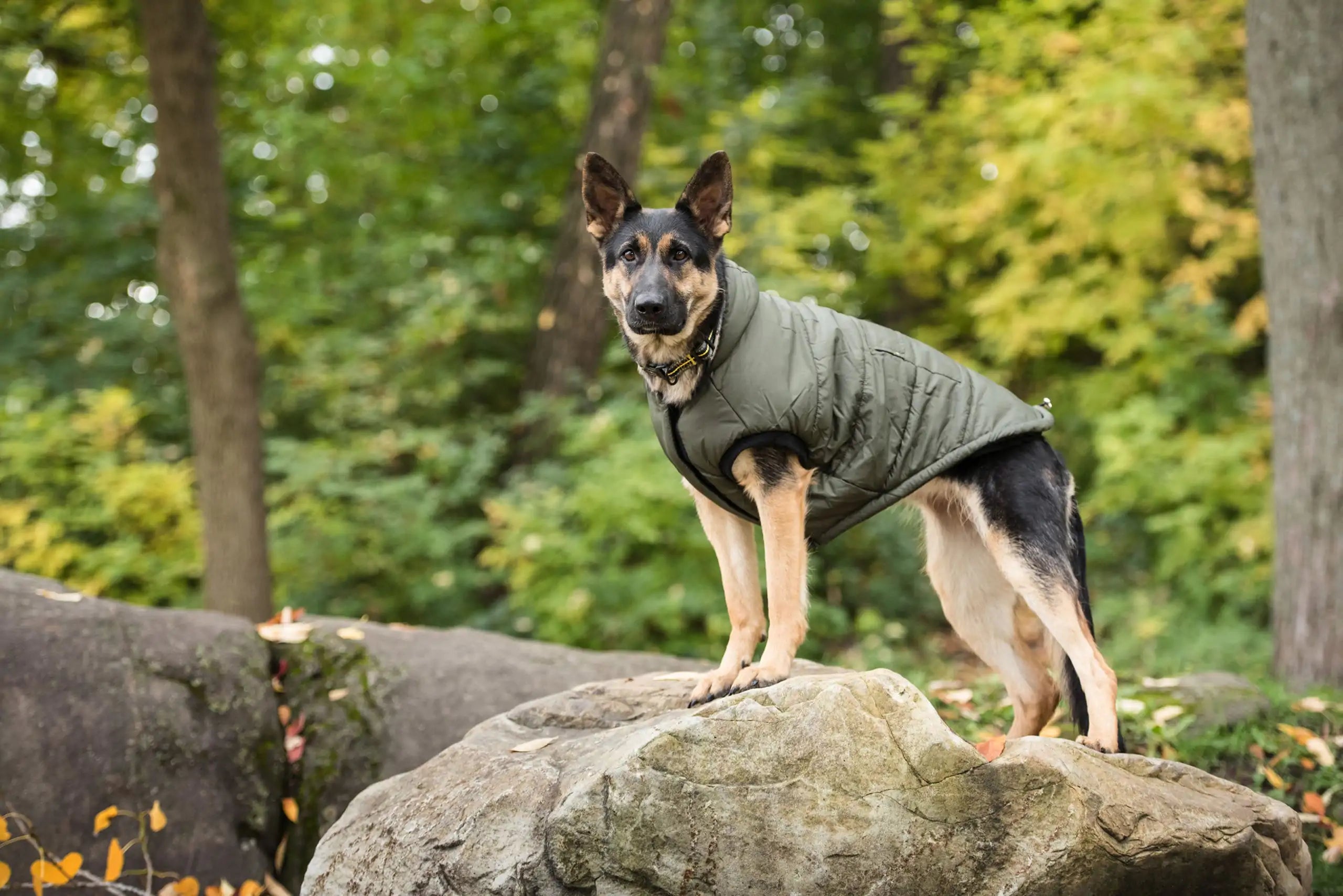 Aura Pet Dark Camo Army Dog Parka