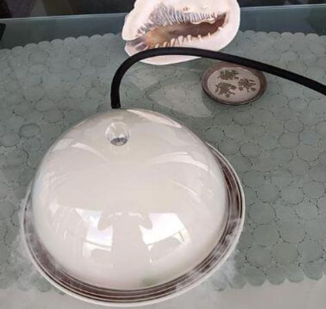 best-overall-homia-smoking-gun