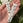 CR-Laser-Falcon-5W_Rubber_blur.jpg