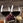 CR-Laser-Falcon-5W_Wine_Class_blur.jpg