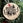 CR-Laser-Falcon-5W_Wood_blur.jpg