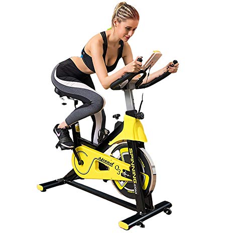 ZJDU Indoor Cycling Bike with Resistance Workout - Home Cardio Upright Bike - Exercise Bike Stationary with 6 Kg Flywheel - Ipad