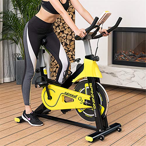 ZJDU Indoor Cycling Bike with Resistance Workout - Home Cardio Upright Bike - Exercise Bike Stationary with 6 Kg Flywheel - Ipad