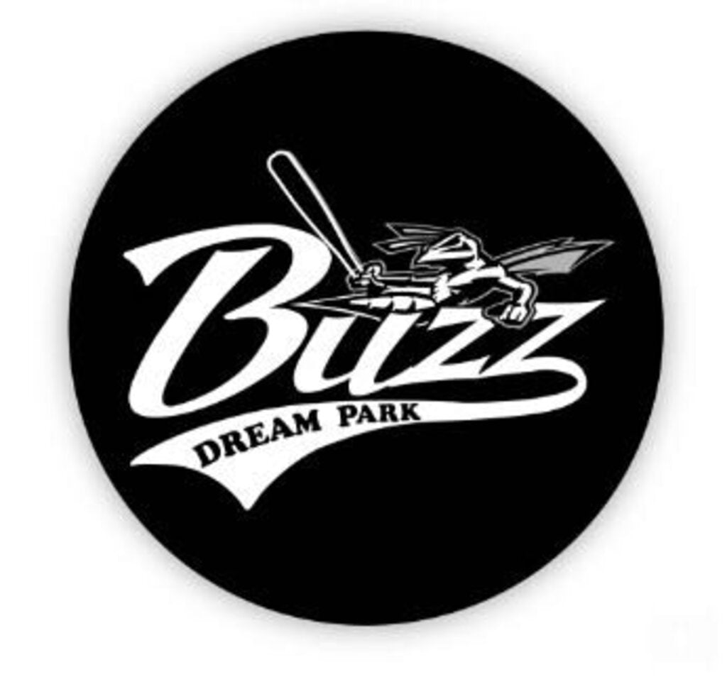 Buzz Sticker 4in