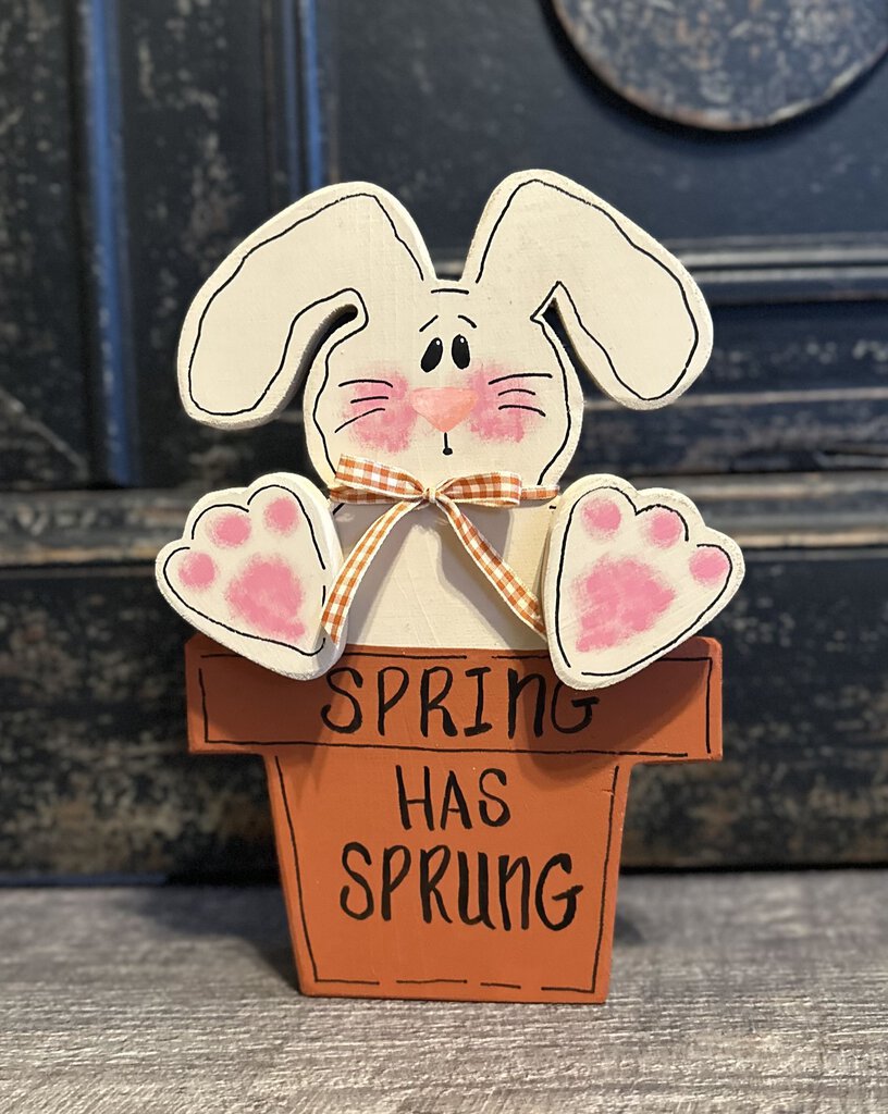 #62 Spring has Sprung Bunny