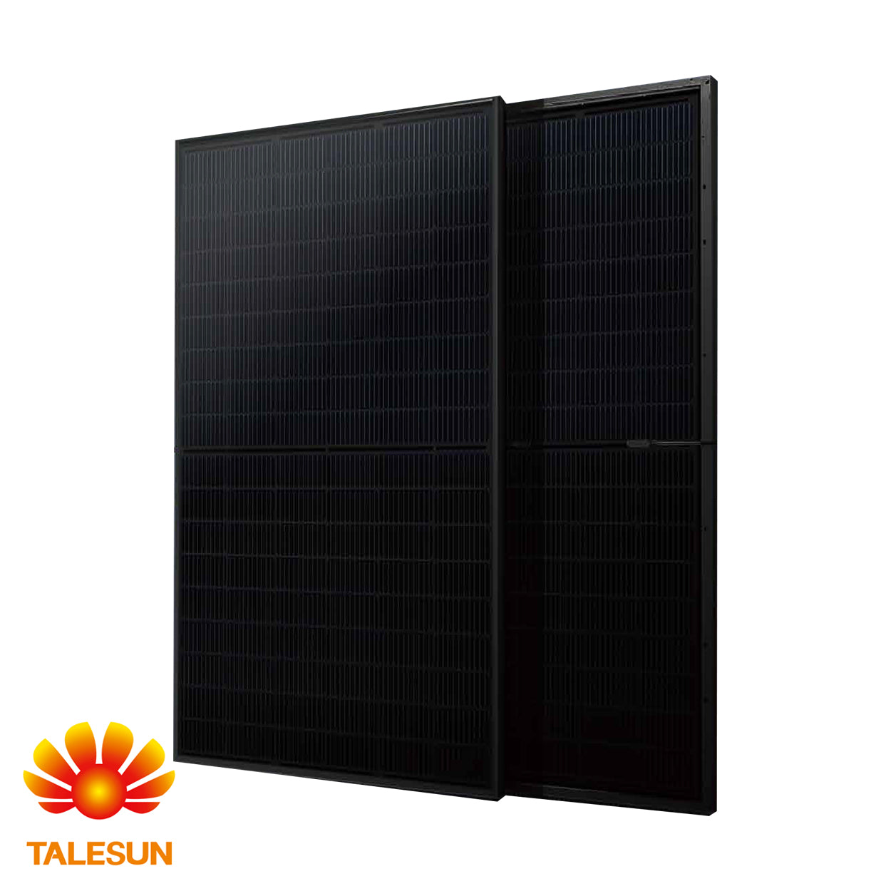 Talesun 400W Bifacial Solar Panel (25 Year Warranty)
