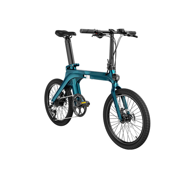 Fiido d11 electric bike 2025