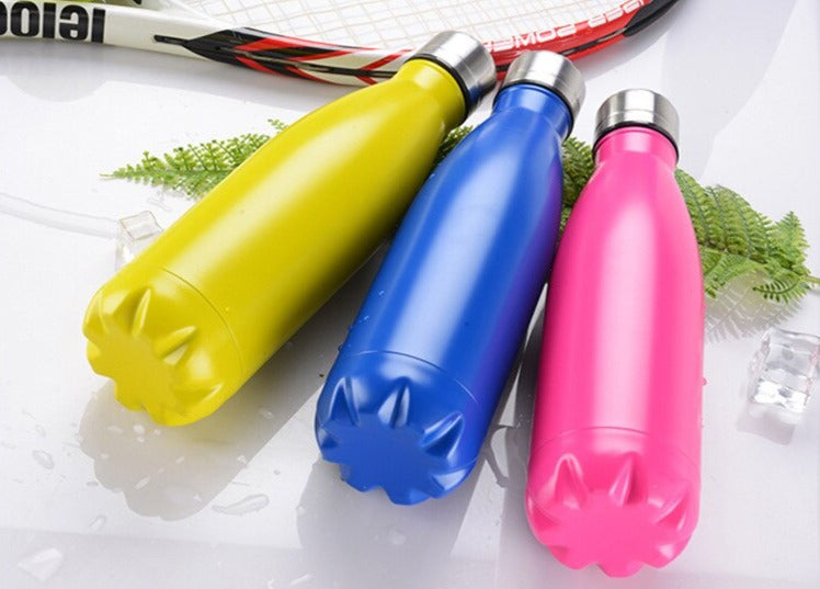 Insulated Stainless Steel Water Bottle