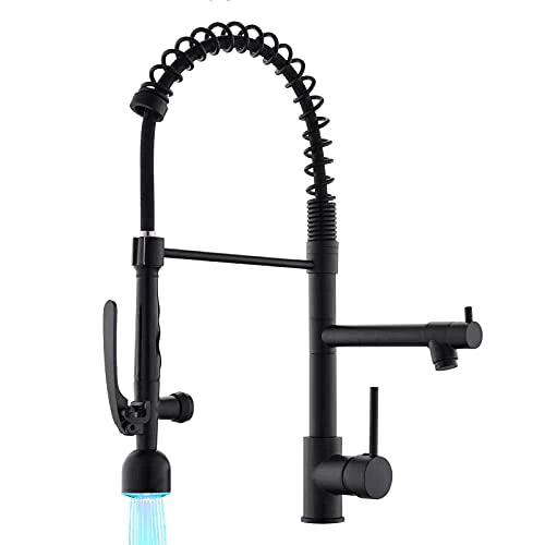 Fapully Black Kitchen Faucet with Pull Down Sprayer, Commercial Faucet for Kitchen Sink