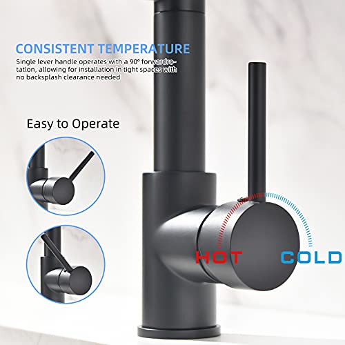 Fapully Black Kitchen Faucet with Pull Down Sprayer, Commercial Faucet for Kitchen Sink