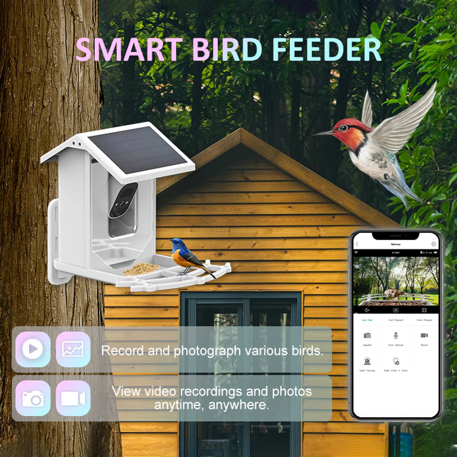 Smart Bird Feeder with Solar Charging Camera