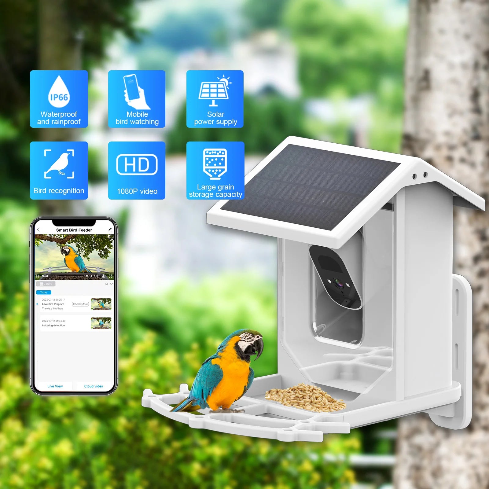 Smart Bird Feeder with Solar Charging Camera
