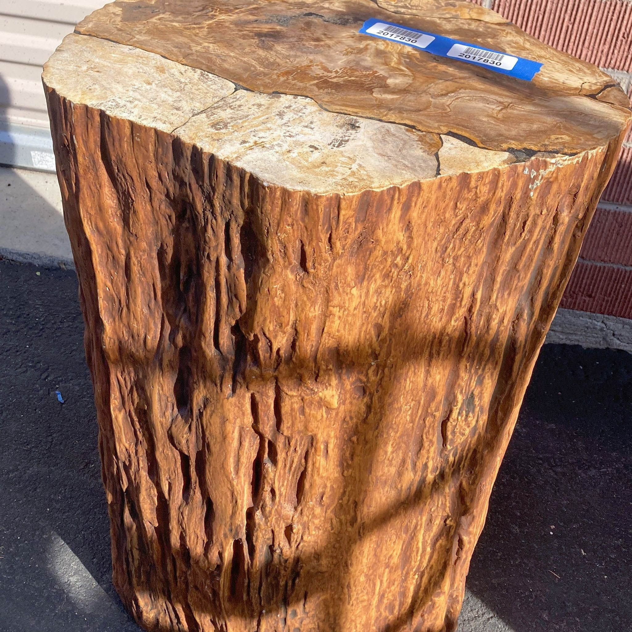 Hollow wooden side table with petrified wood top by Arhaus