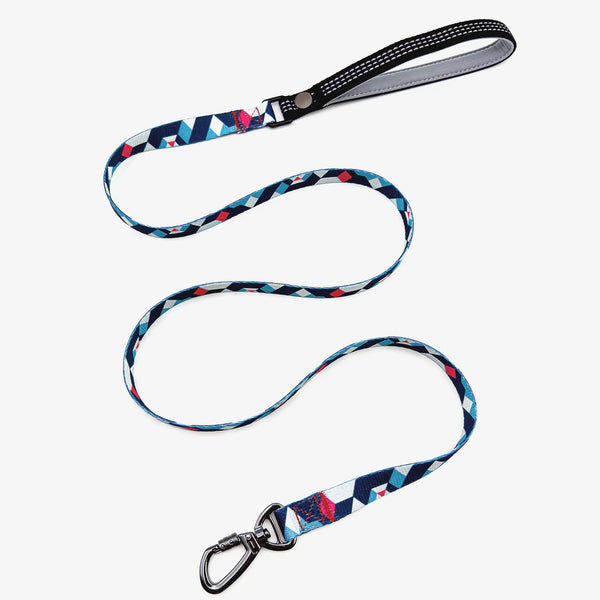 Paw Journeys bunt karierte Hundeleine – reflektierend: