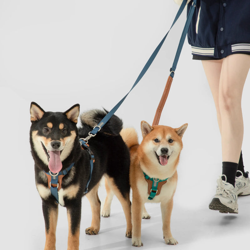 Leichtes Hundegeschirr